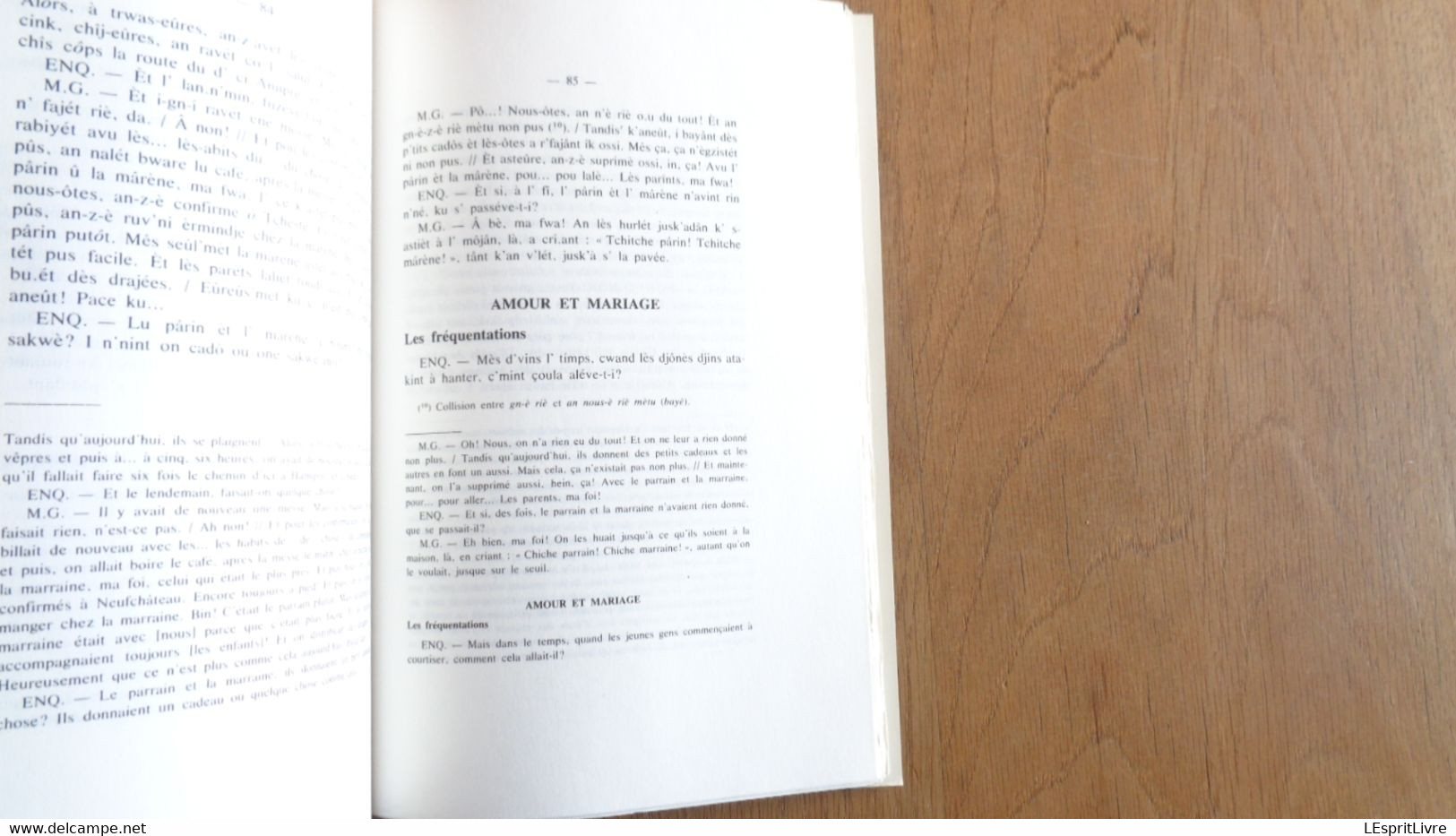 LES DIALECTES DE WALLONIE Tome 10 1982 Régionalisme Patois Wallon Littérature Vocabulaire Bois Borsu Pater Offaing