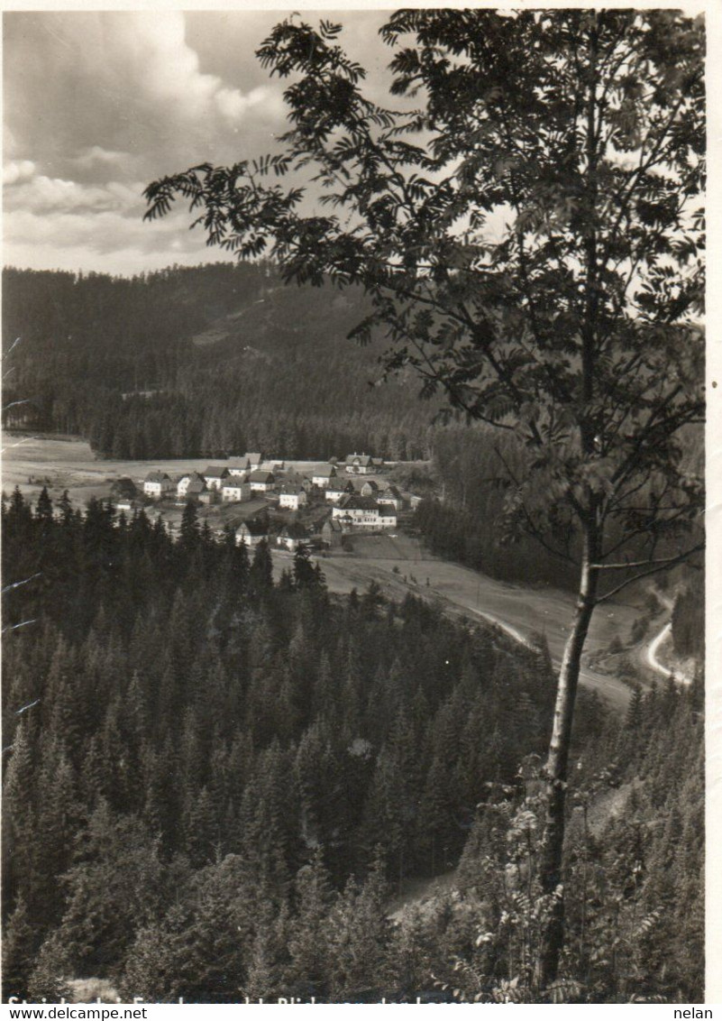 STEINBACH I. FRANKENWALD , BLICK VON DER LORENZRUH - REAL PHOTO  - F. G. - Steinbach-Hallenberg