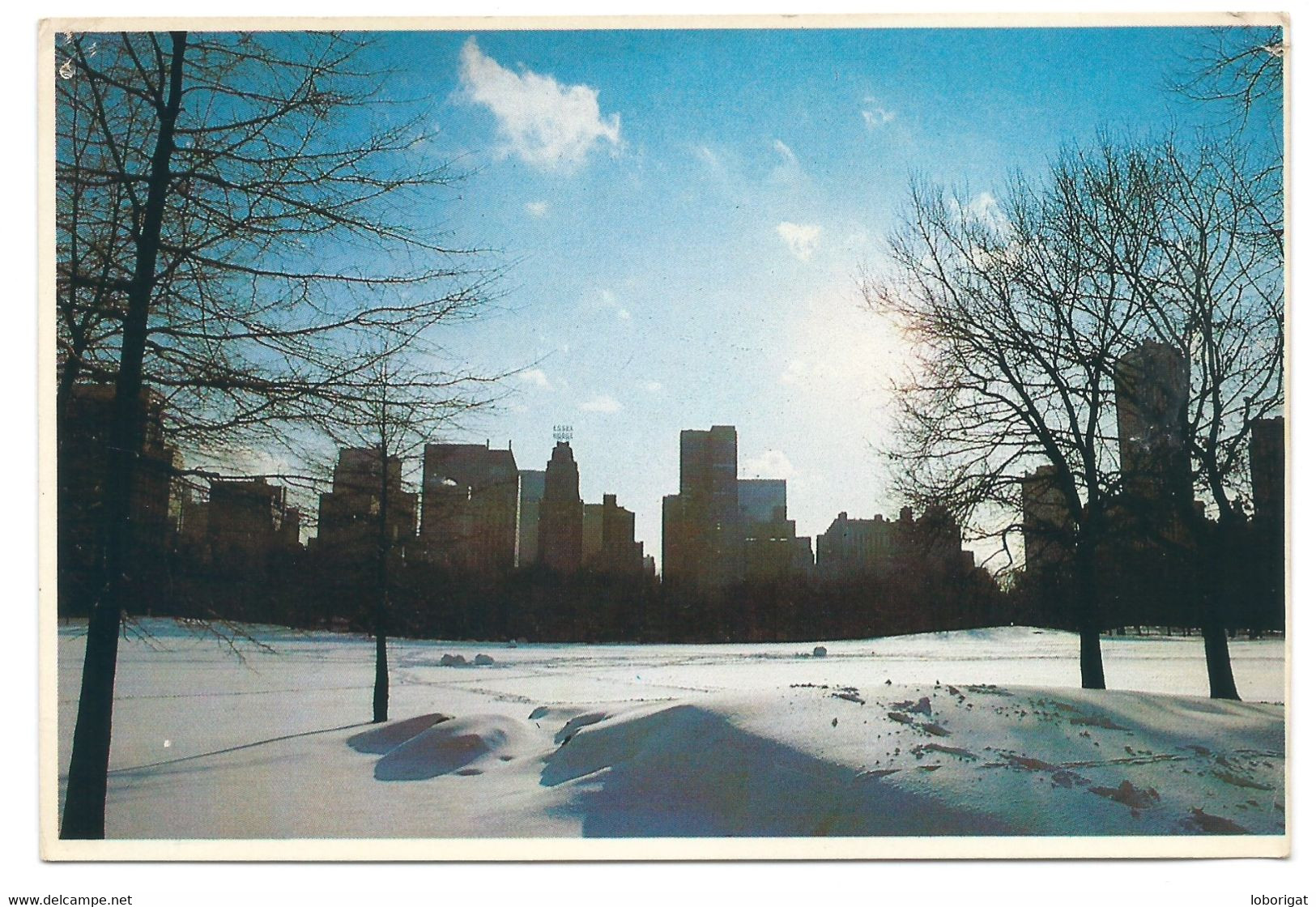 WINTER IN CENTRAL PARK SILHOUETTED AGAINST NEW YORK'S LUXURY HOTELS AND APARTMENT BUILDINGS.- NEW YORK CITY.- ( U.S.A. ) - Parchi & Giardini