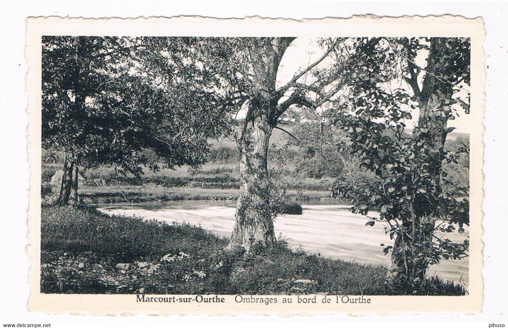 B-8599  MARCOURT-sur-OURTHE : Ombrages Au Bord De L'Ourthe - Rendeux