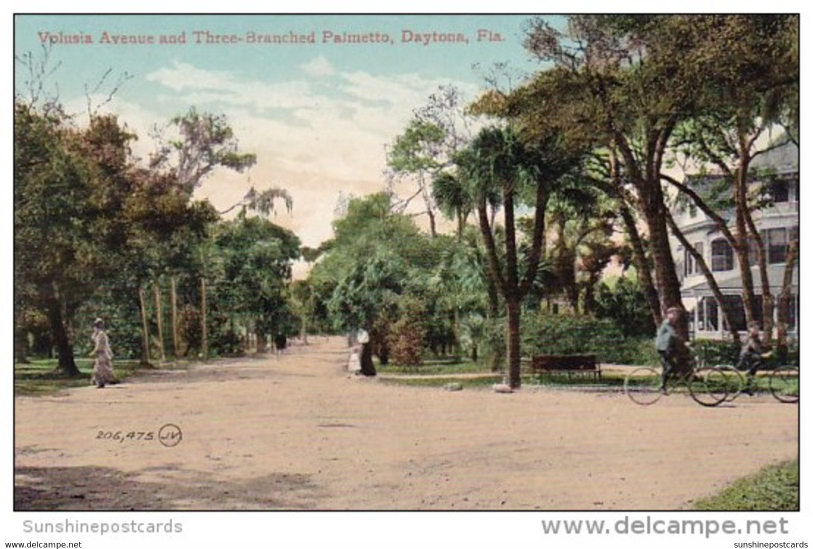 Florida Daytona Volusia Avenue And Three Branched Palmetto - Daytona