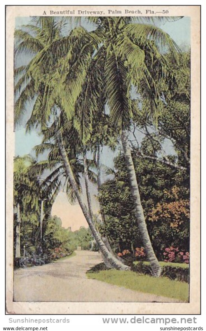 Florida Palm Beach A Beautiful Driveway - Palm Beach