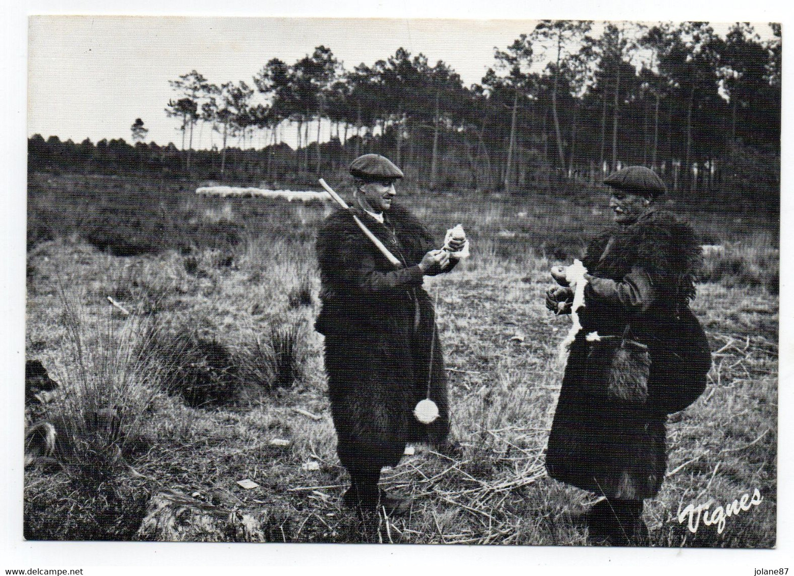 CPM      LES LANDES D AUTREFOIS     -   BERGERS FILANT LA LAINE - Personnages