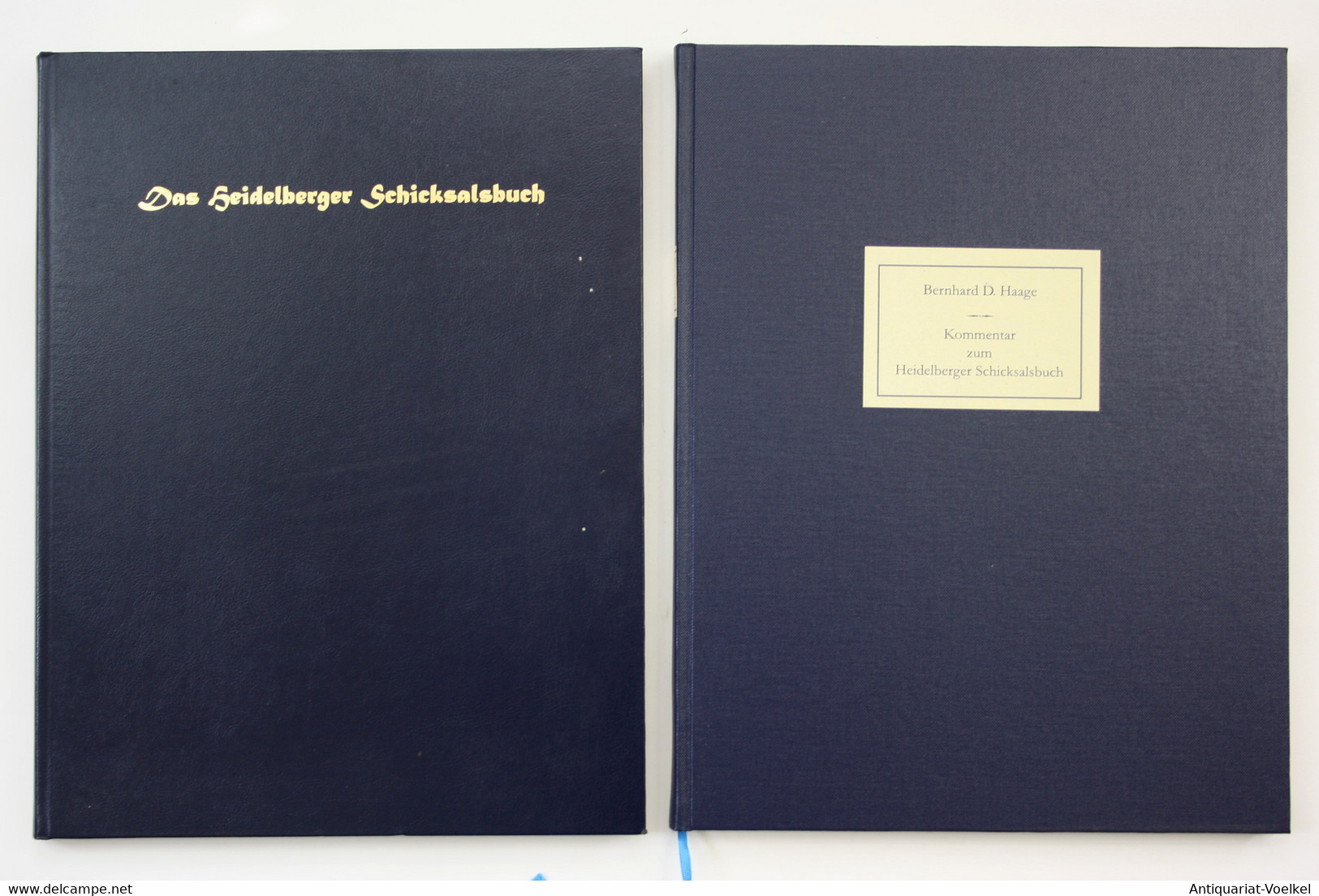 Das Heidelberger Schicksalsbuch - Das Astrolabium Planum Deutsch Aus CPG 832 Der Universitätsbibliothek Heidel - Photography