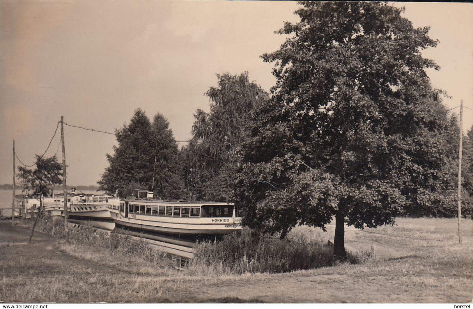 D-15754 Heidesee - Kolberger Hafen - Dampfer "Horrido" (Echt Foto) - Dahme