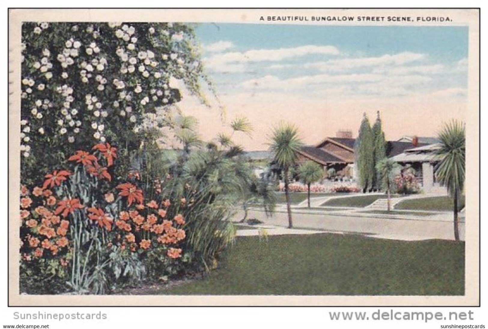 Florida Daytona A Beautiful Bungalow Street Scene 1921 - Daytona