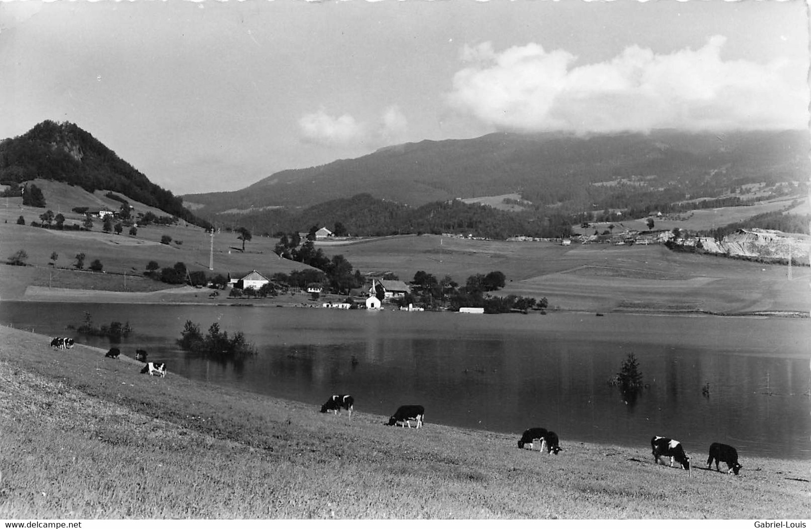 Lac De La Gruyère - Pont-la-Ville - Autres & Non Classés