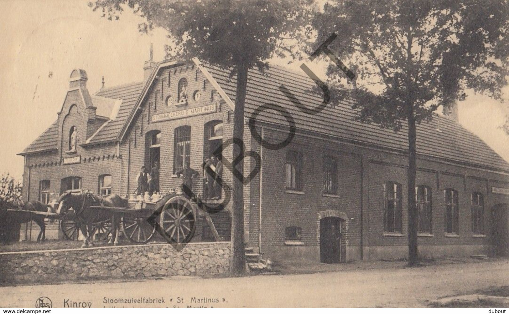 Postkaart-Carte Postale - KINROOI - Stoomzuivelfabriek St Martinus   (C1526) - Kinrooi