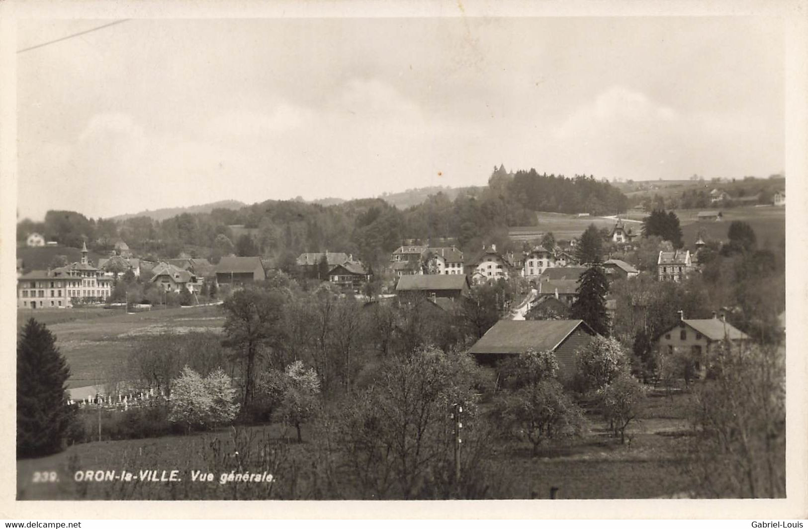 Oron-la-Ville Vue Générale - Oron