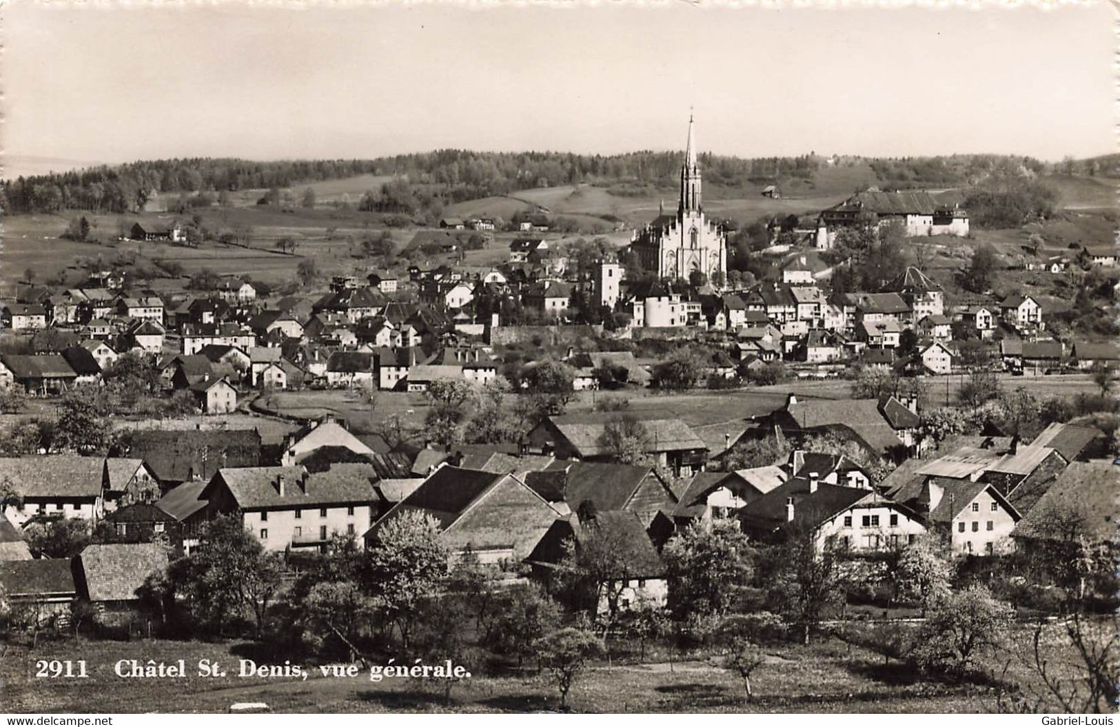 Châtel-St. Denis Vue Générale - Autres & Non Classés