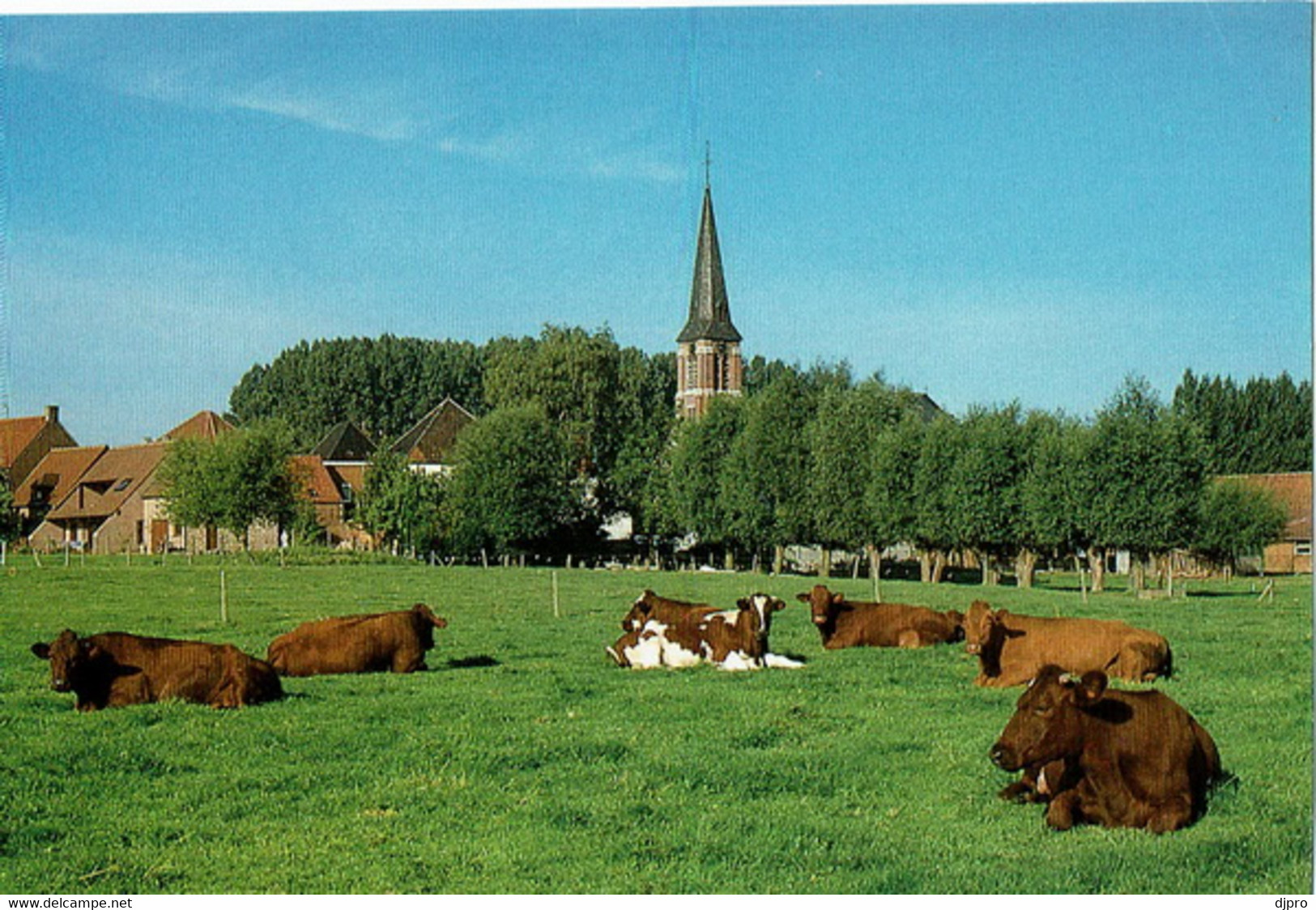 Deerlijk  Zicht Op Sint Lodewijk - Deerlijk