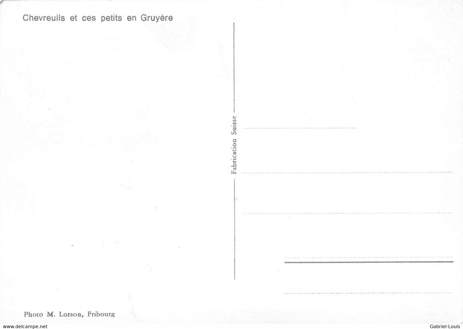 Chevreuil Et Ses Petits En Gruyère    (10 X 15 Cm) - Autres & Non Classés