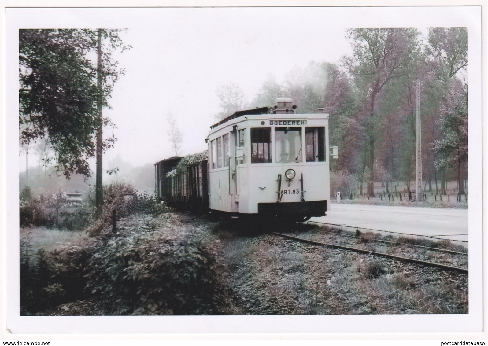 Halle-Booienhoven - Saison Betteravière 1958 - Photo - & Tram, Train - Trains