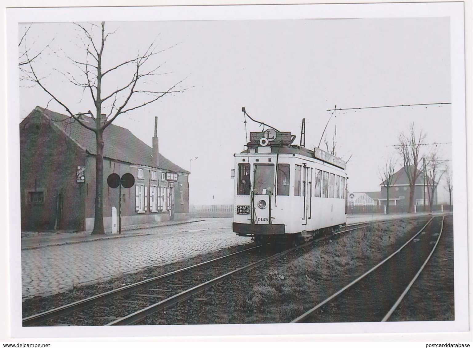 Londerzeel Driehoek 1952 - Photo - & Tram - Trains