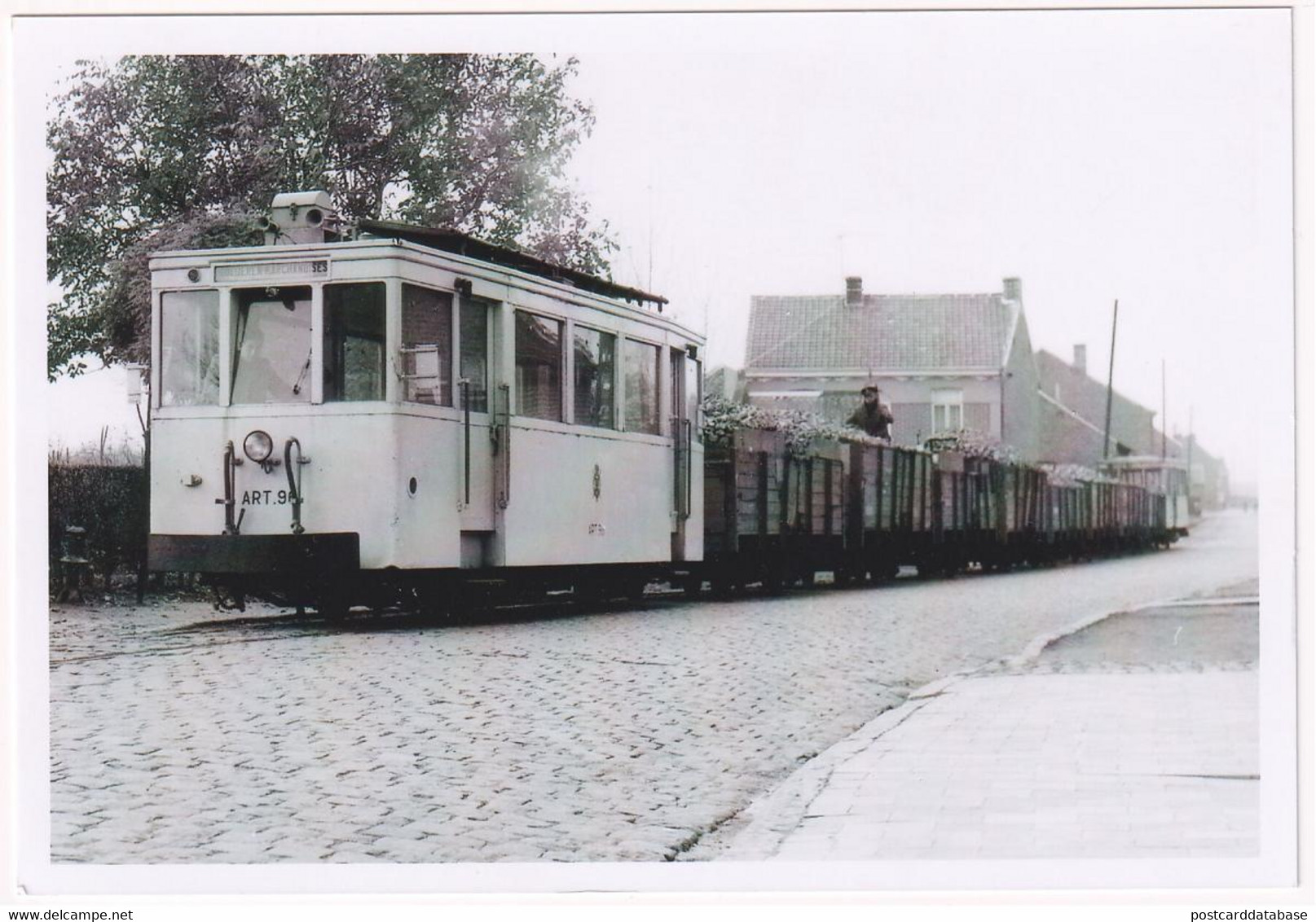 Overhespen - Village - Convoi De Betteraves Sur La Ligne Jodoigne - Overhespen 1959 - Photo - & Tram - Trains