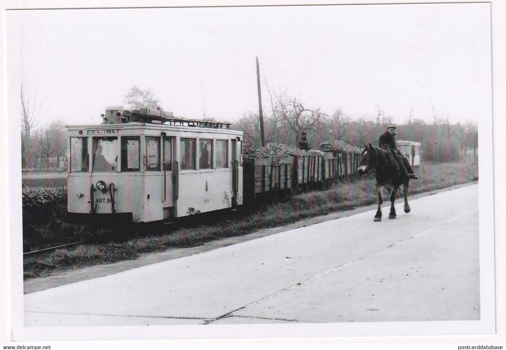 Overhespen - Convoi De Betteraves Sur La Ligne Jodoigne - Overhespen 1959 - Photo - & Tram, Train - Trains