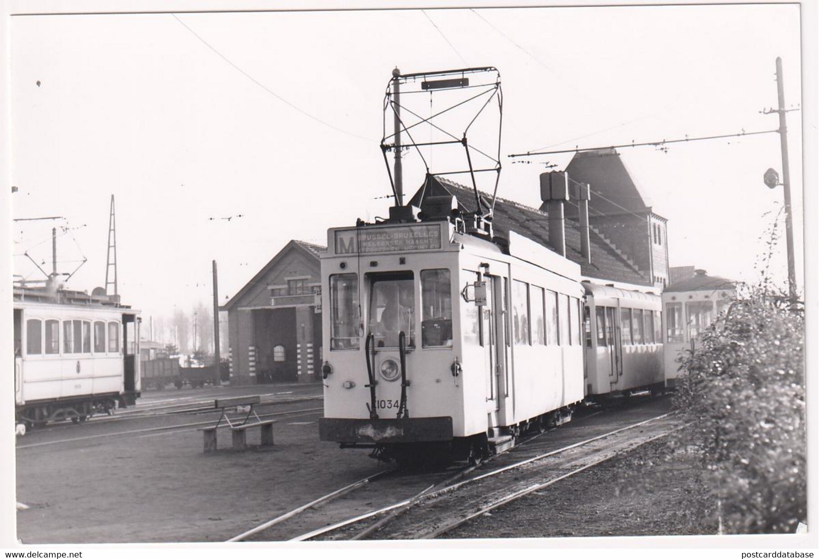 Haacht Station 1954 - Photo - & Tram, Train - Trains