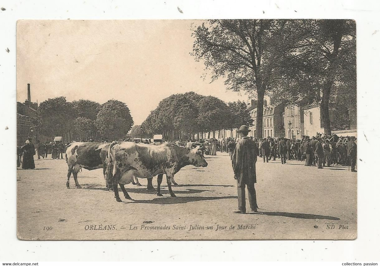 Cp , Commerce , La Promenade SAINT JULIEN Un Jour De Marché ,45 , ORLEANS , Voyagée1908 - Märkte