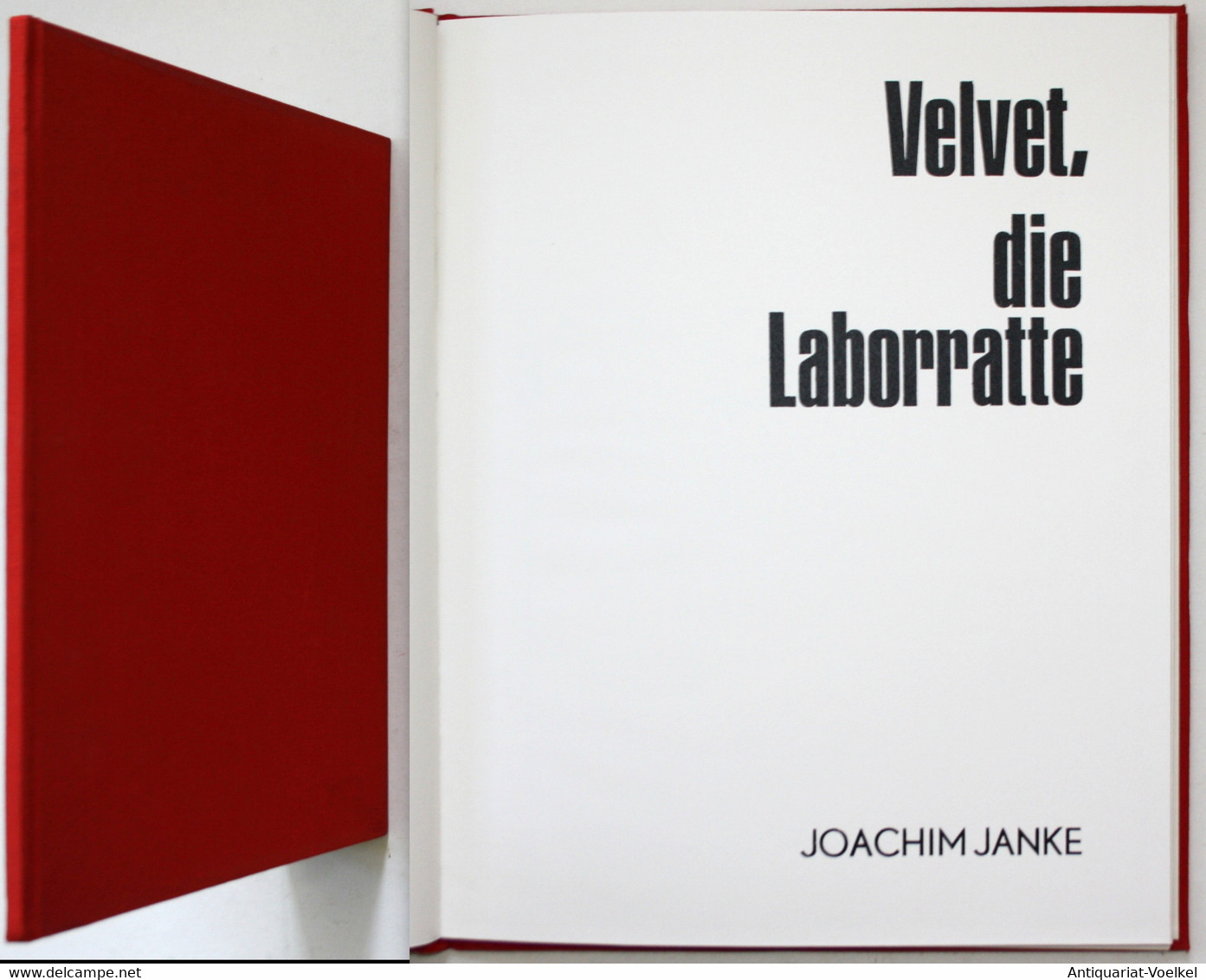 Velvet, Die Laborratte. - Internationale Auteurs