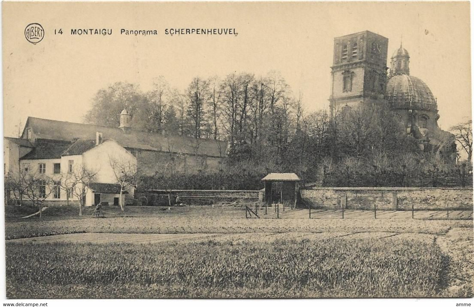 Scherpenheuvel - Montaigu   *  Panorama - Scherpenheuvel-Zichem