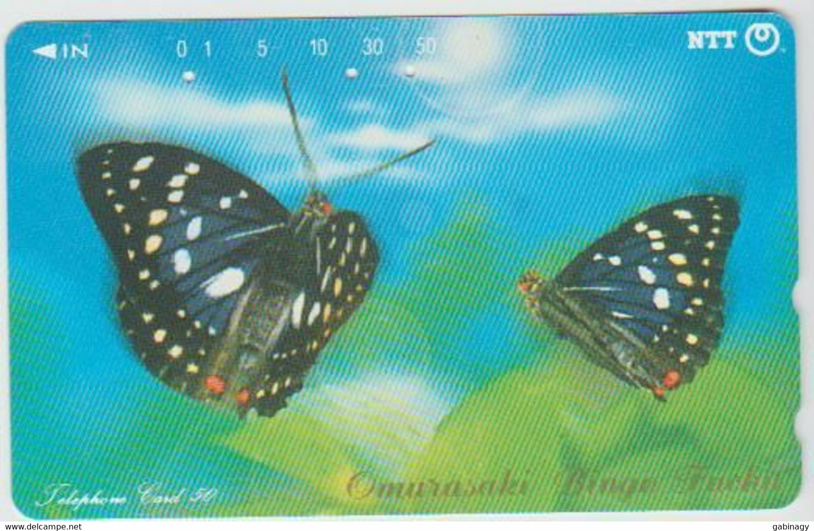 BUTTERFLY - JAPAN - H116 - 351-170 - Butterflies