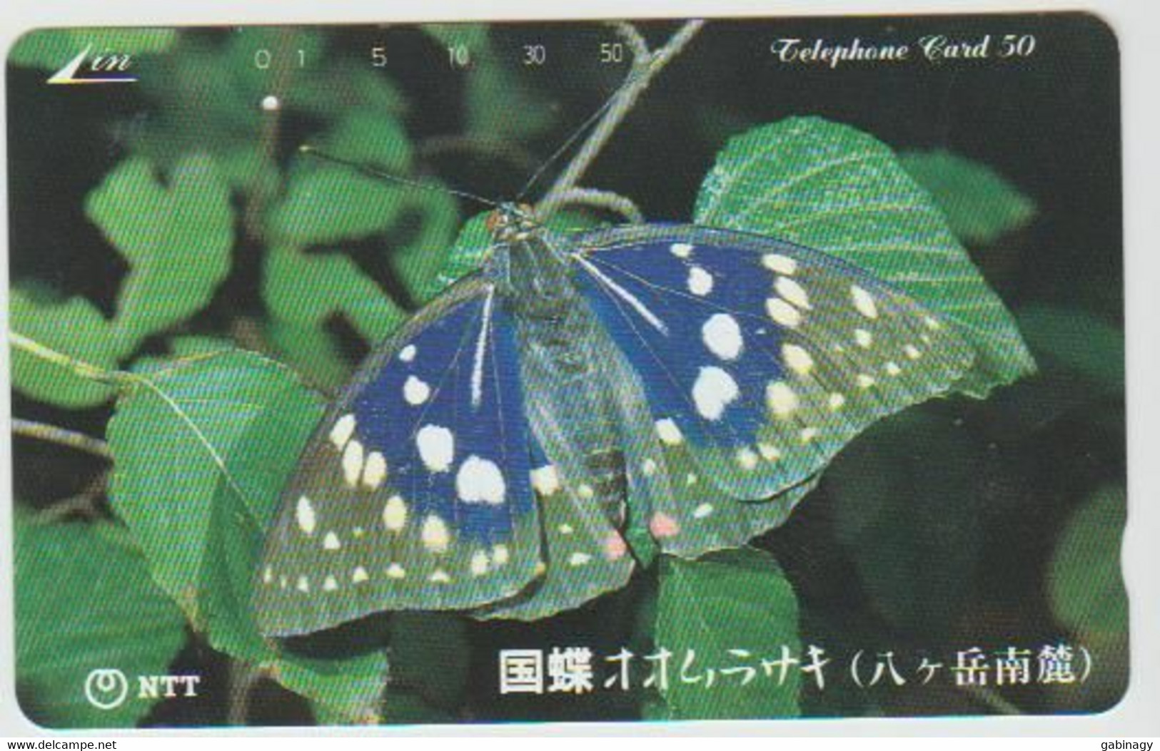 BUTTERFLY - JAPAN - H117 - 251-054 - Butterflies