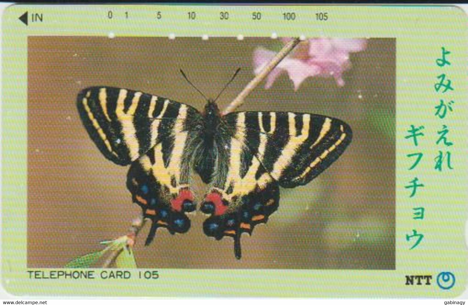 BUTTERFLY - JAPAN - H118 - 331-285 - Schmetterlinge