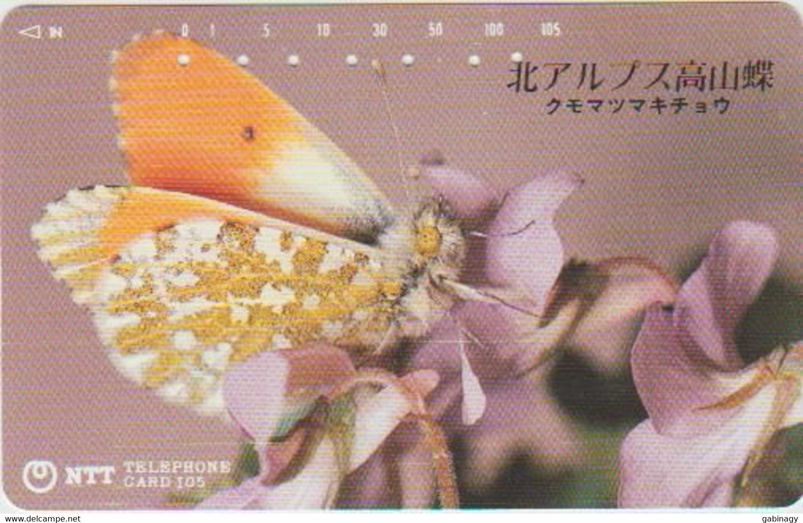 BUTTERFLY - JAPAN - H122 - 270-092 - Farfalle