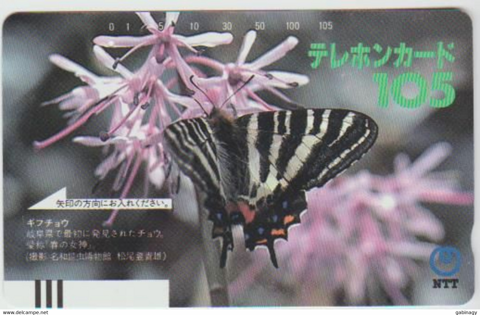 BUTTERFLY - JAPAN - H125 - 290-007 - Butterflies