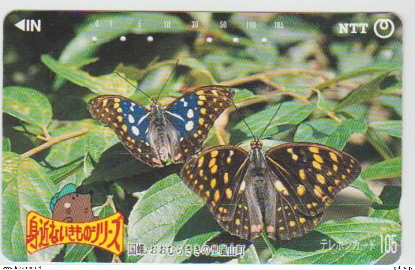 BUTTERFLY - JAPAN - H126 - 250-509 - Schmetterlinge