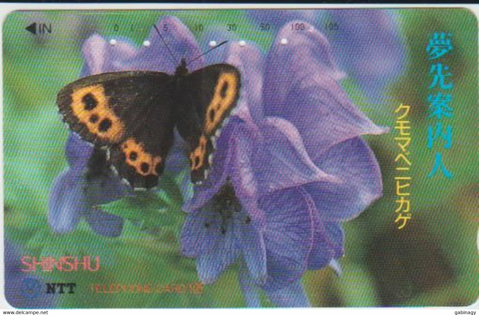 BUTTERFLY - JAPAN - H128 - 270-271 - Schmetterlinge
