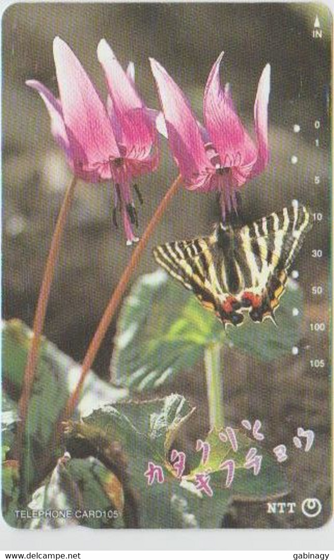 BUTTERFLY - JAPAN - V045 - 271-240 - Papillons