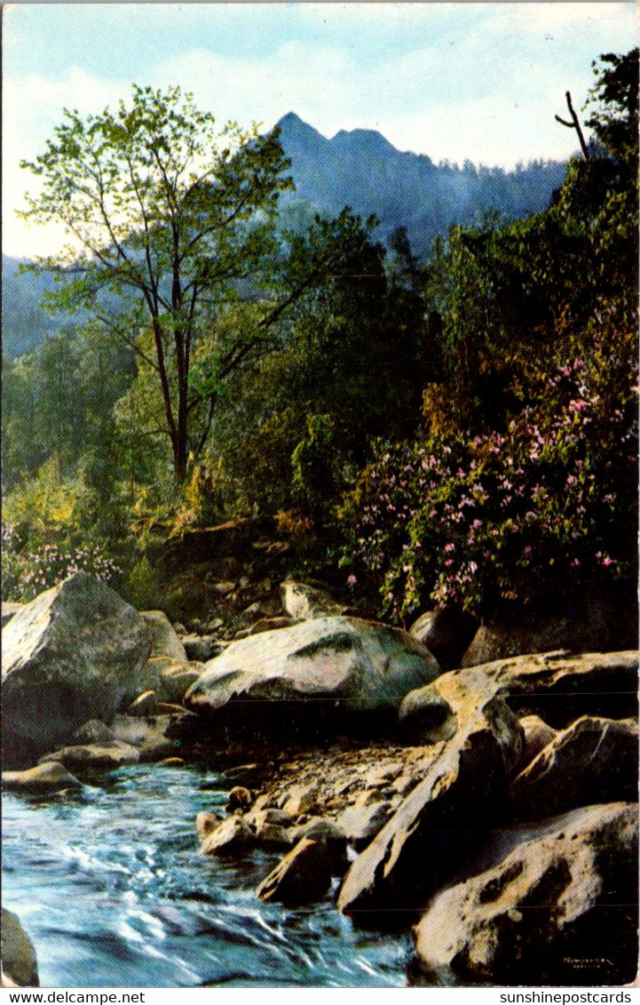 Tennessee Great Smoky Mountains The Chimney Tops 1954 - Smokey Mountains
