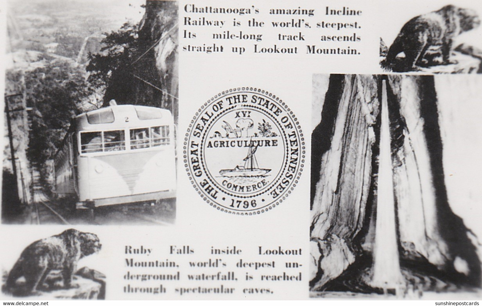 Tennessee Great Seal And Lookout Mountain Incline Railway And Ruby Falls Real Photo - Chattanooga