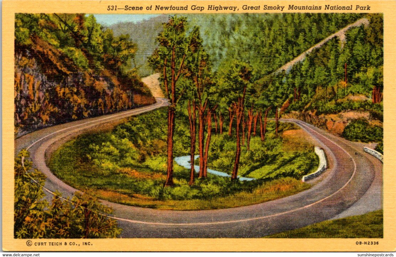 Tennessee The Great Smoky Mountains Scene Of Newfound Gap Highway Curteich - Smokey Mountains