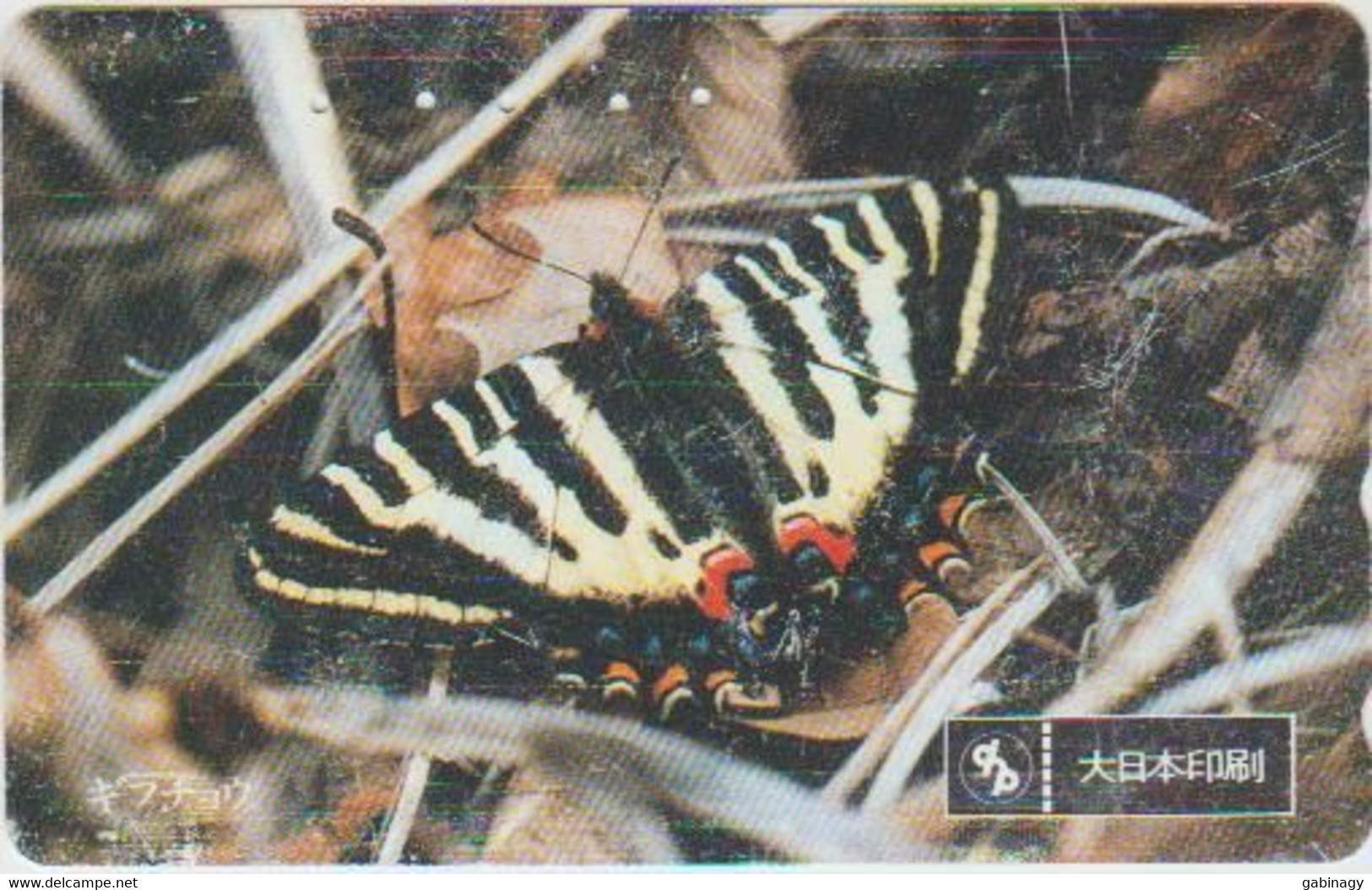 BUTTERFLY - JAPAN - H144 - 110-011 - Mariposas