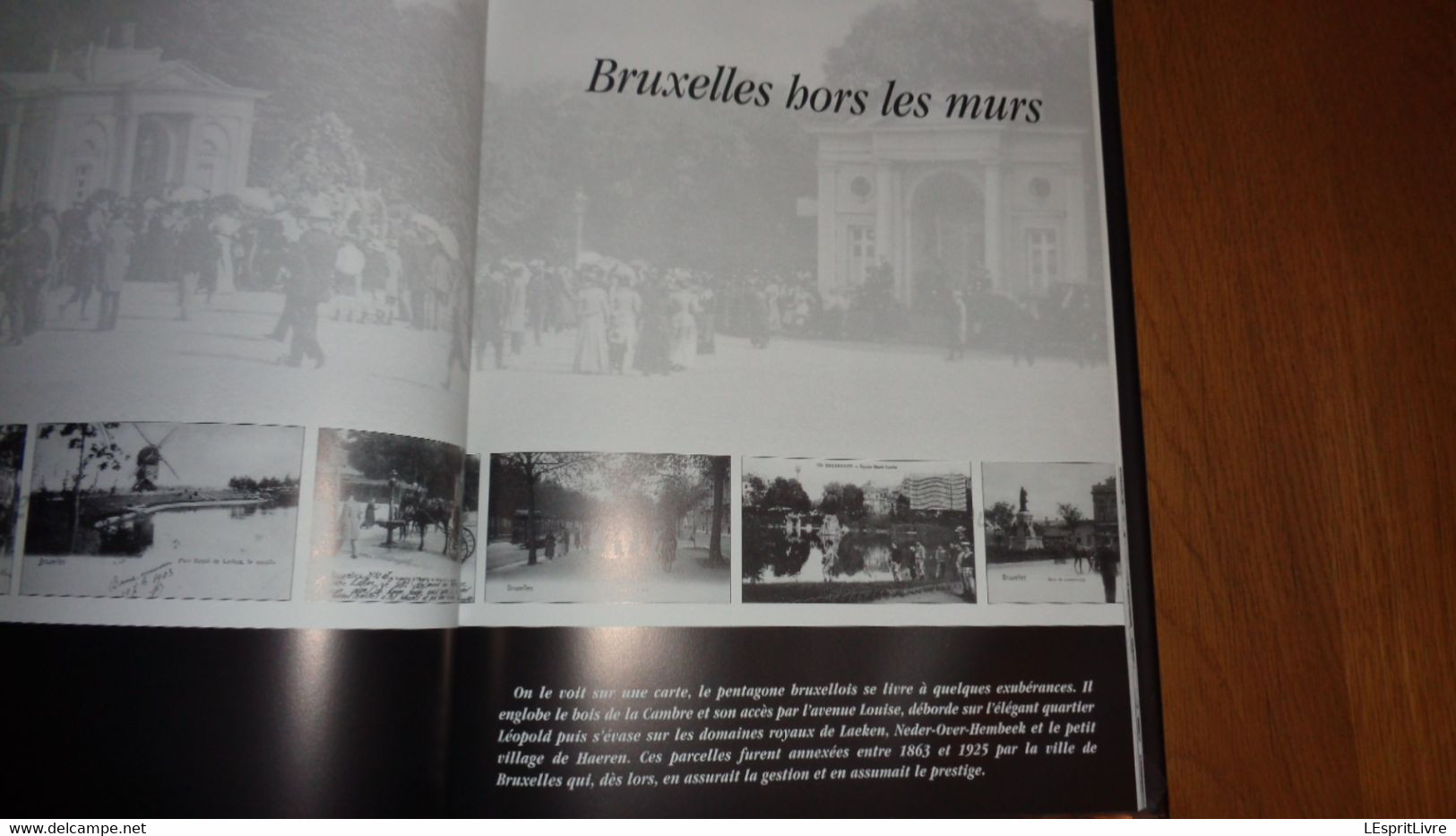 BRUXELLES D' ANTAN à Travers la Carte Postale Ancienne Régionalisme Schaerbeek Etterbeek Jette Senne Métiers Marché