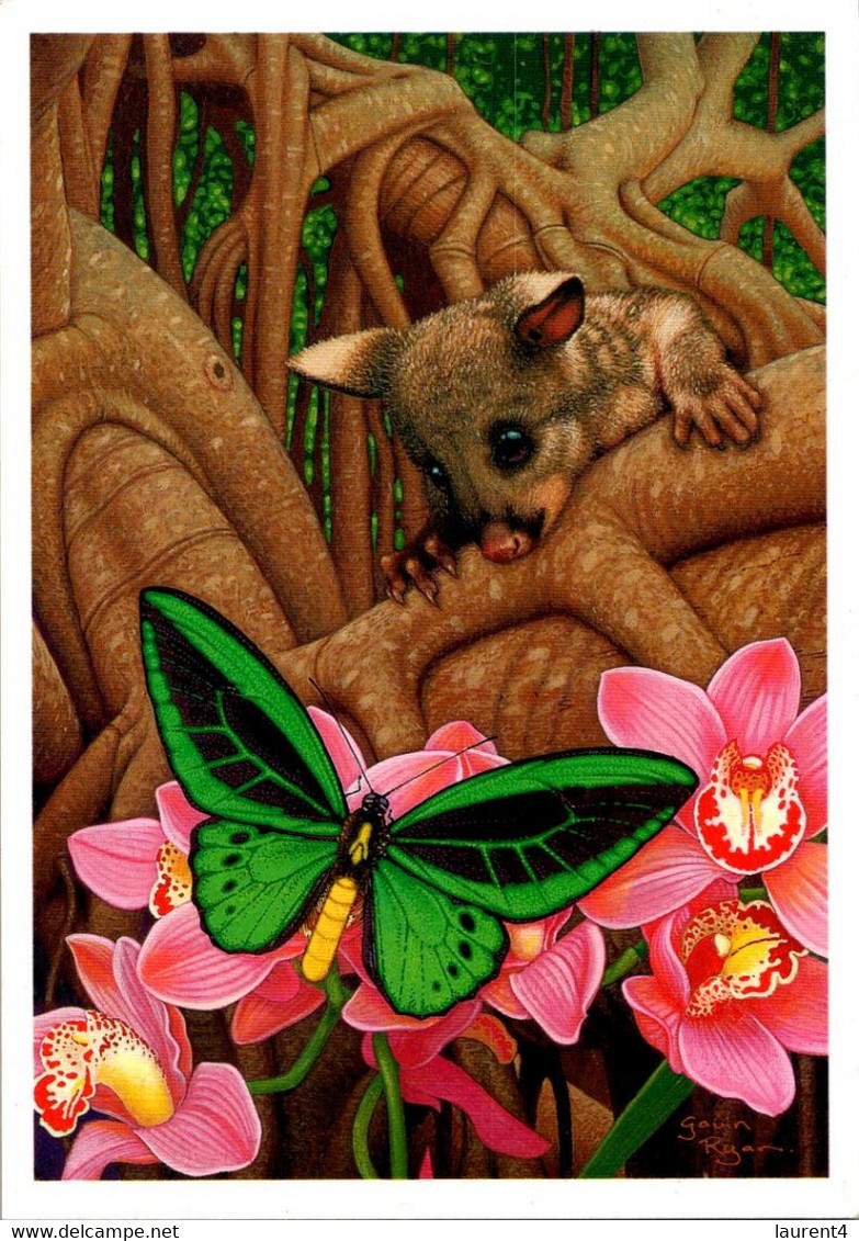 (2 E 1) Australia - Possum & Butterfly - Papillons