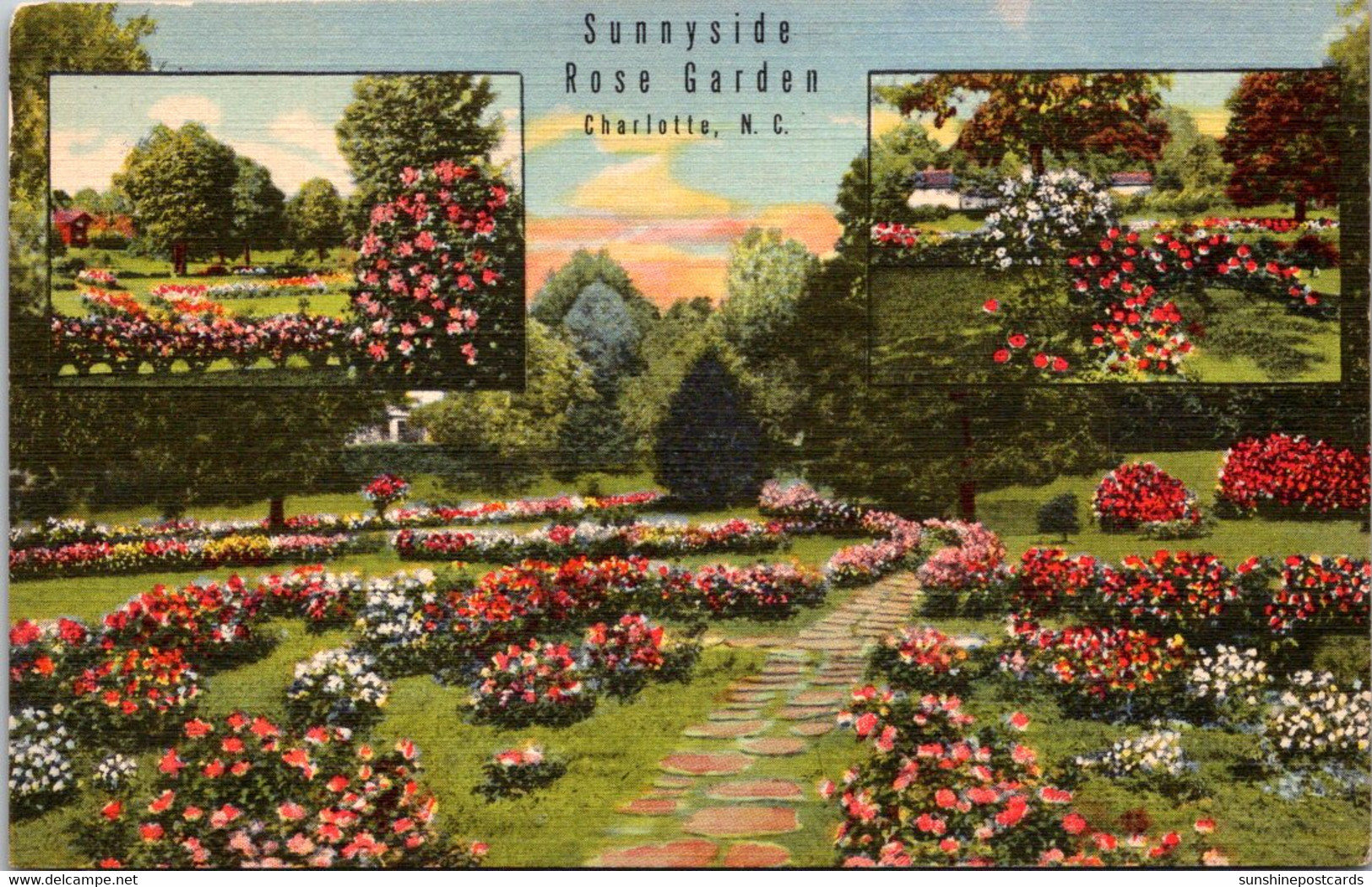 North Carolina Charlotte Sunnyside Rose Garden Curteich - Charlotte