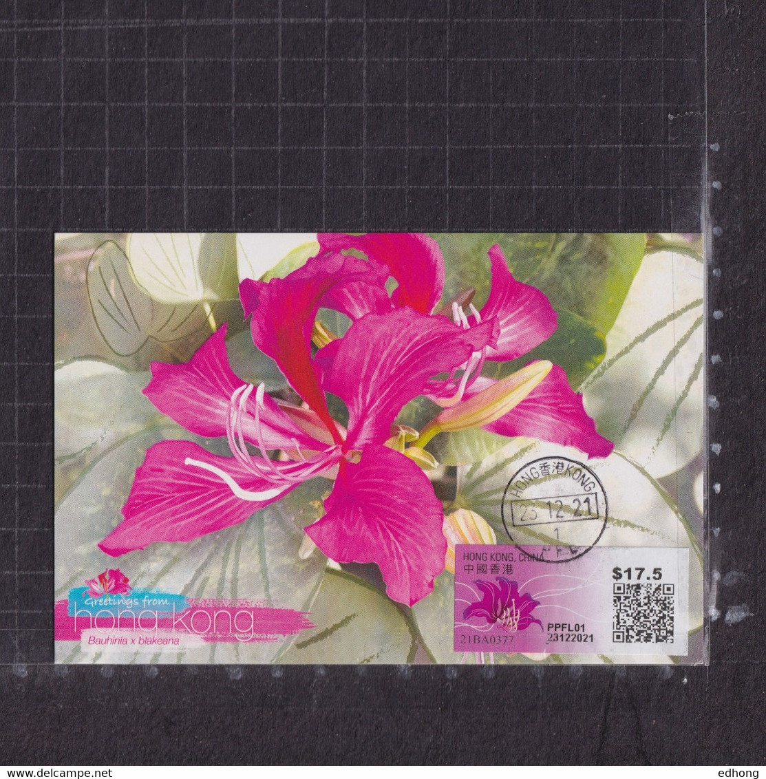 [Carte Maximum / Maximum Card / Maximumkarte] Hong Kong 2021 | Postage Label (PVML) Bauhinia X Blakeana - Cartes-maximum