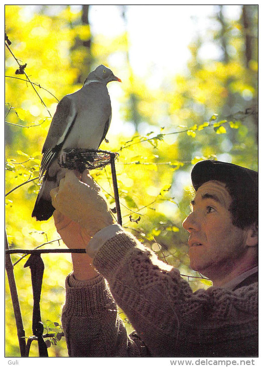 40 Landes (Montfort En Chalosse)  NOUSSE  Chasse à La Palombe Installation D'un Appeau Sur Une Raquette * PRIX FIXE - Montfort En Chalosse