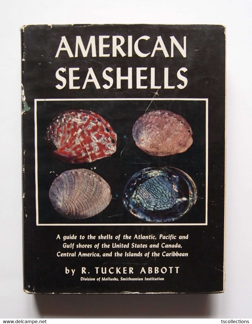 American Seashells - R Tucker Abbott - Libri Sulle Collezioni