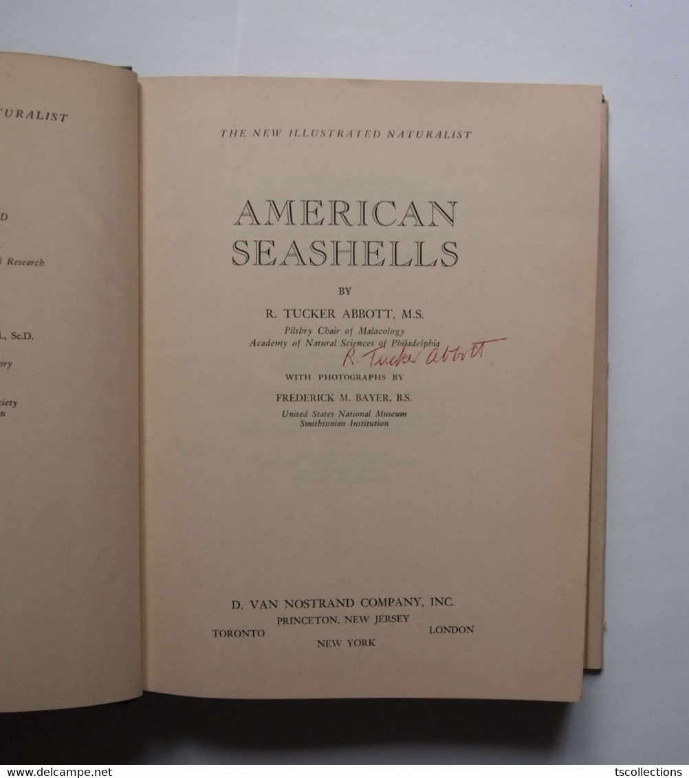 American Seashells - R Tucker Abbott - Themengebiet Sammeln
