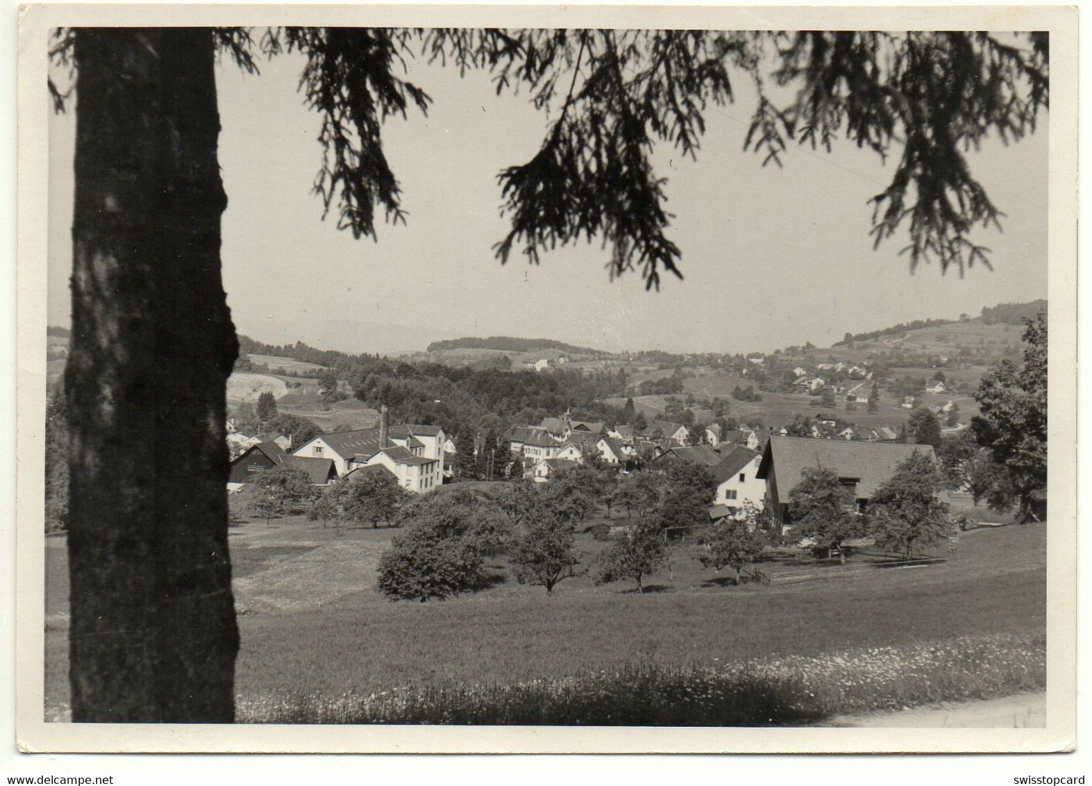 BÄRETSWIL Gel. 1949 - Bäretswil