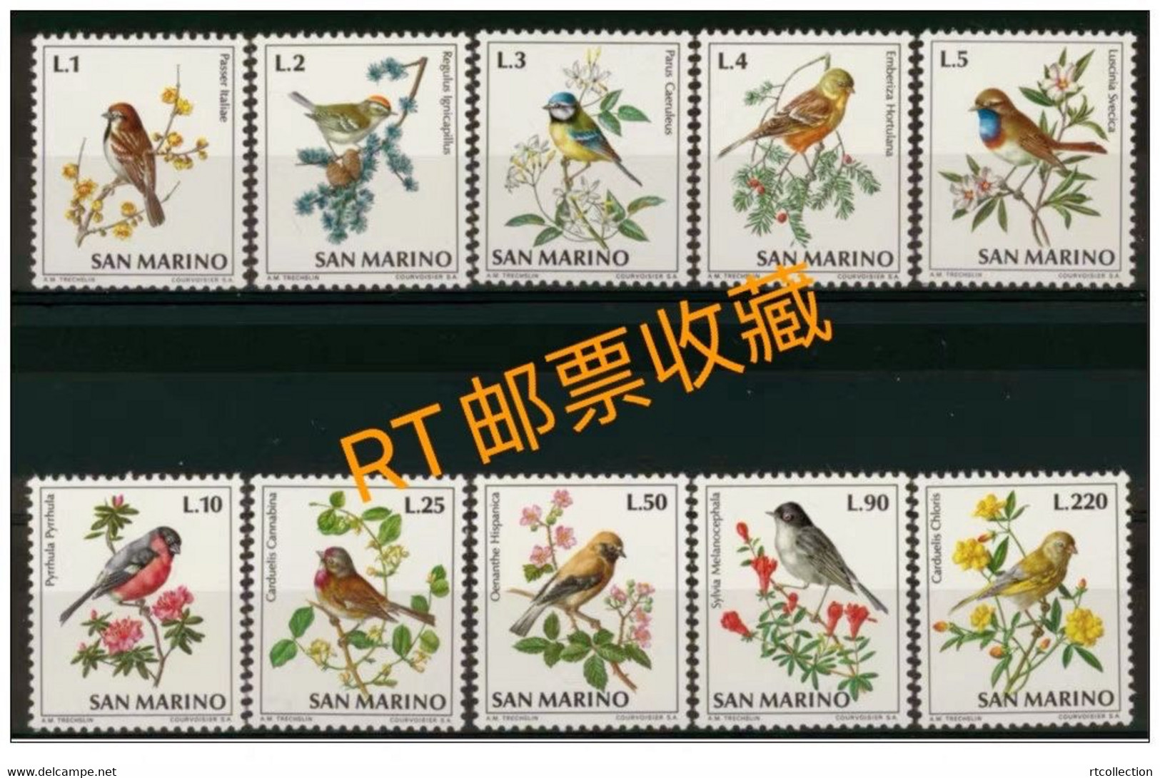 San Marino 1972 Song Birds Nature Flowers Plants Bird Flora Plant Fauna Songbirds Sparrows Stamps MNH Scott 777-786 - Passeri