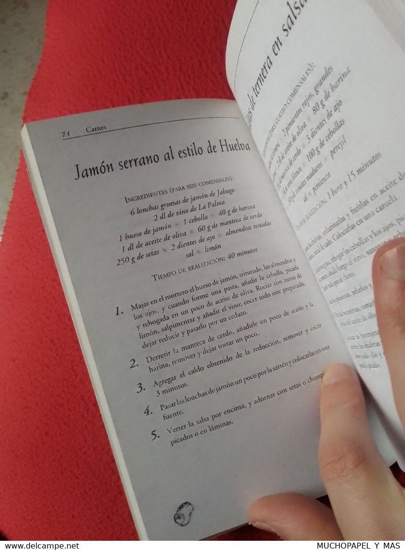 LIBRO 100 RECETAS CON ACEITE DE OLIVA , COCINA MEDITERRÁNEA...OBSEQUIO DE TIMOTEI, 1999, PLAZA JANÉS VER FOTOS, COCINA..