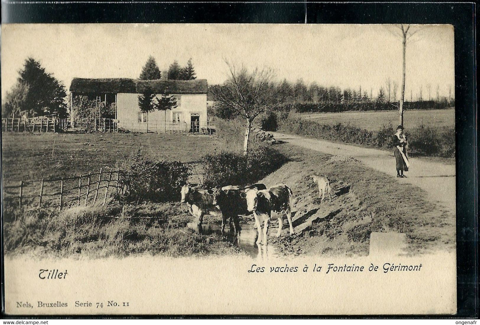 Tillet: Les Vaches à La Fontaine De Gérimont  (Edit. Nels, Bruxelles, Serie 74 No. 11) Carte Neuve - Sainte-Ode