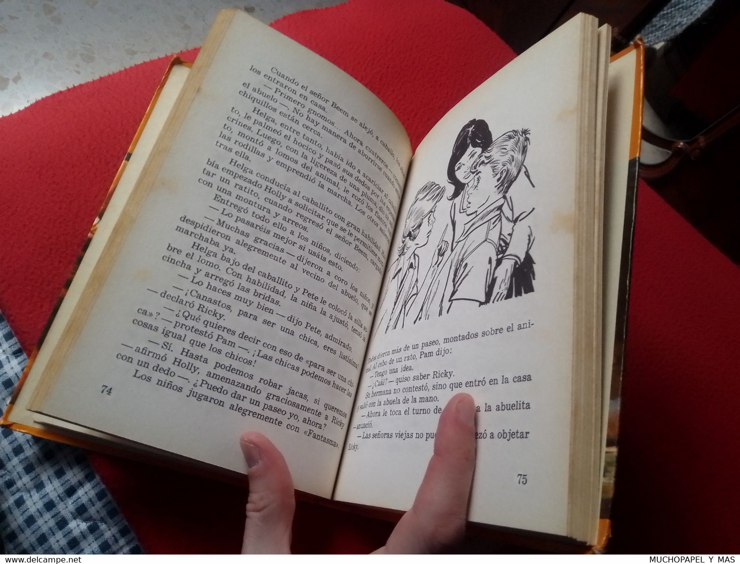 LIBRO LOS HOLLISTER Y EL MISTERIO DE LOS GNOMOS JERRY WEST Nº 33 EDICIONES TORAY 1986 TAPA DURA VER (SPANISH LANGUAGE).. - Children's