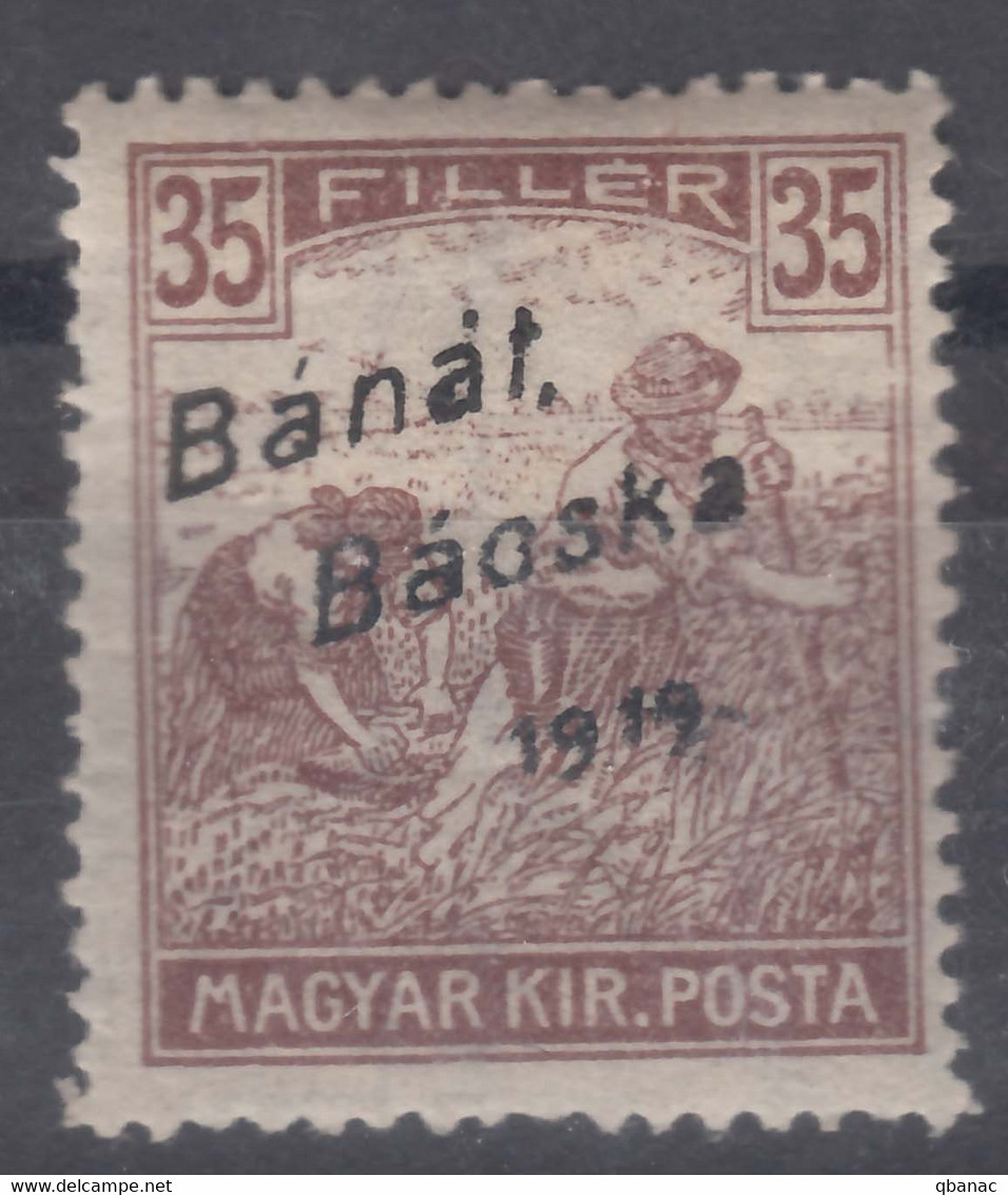 Hungary Banat Bacska 1919 Mi#11 Mint Hinged - Banat-Bacska