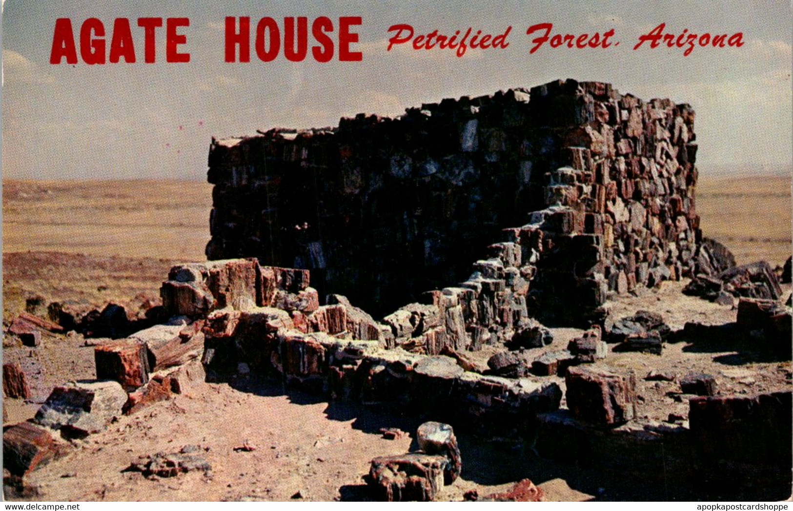 Arizona Petrified Forest Agate House - Other & Unclassified